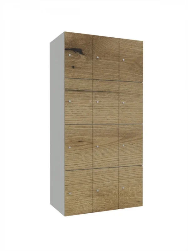 Armoire métallique modulaire avec LPW