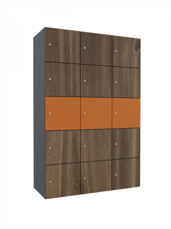 Armoire de consigne en métal avec LPW - Combo